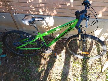 bicicletta bambino