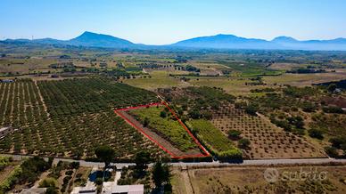 Terreno a Partinico, Contrada Sant'Anna