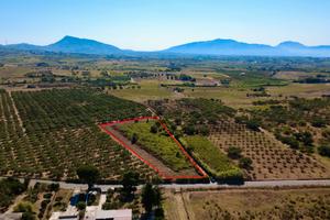 Terreno a Partinico, Contrada Sant'Anna