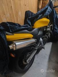 HORNET 600