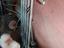 Immagine 6