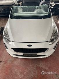 Ricambi Parte Anteriore Ford Fiesta 2018.