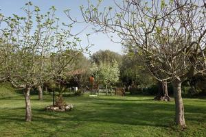 Casa vacanza collina di Tropea