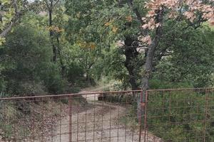 Terreno con Uliveto contrada Petrella