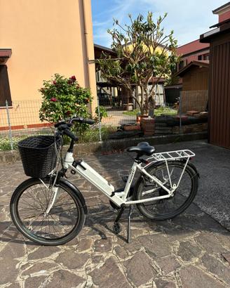 Bicicletta elettrica