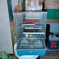 gabbia per uccellini