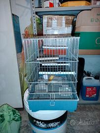 gabbia per uccellini