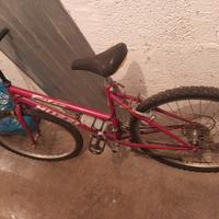 bicicletta nuzzi