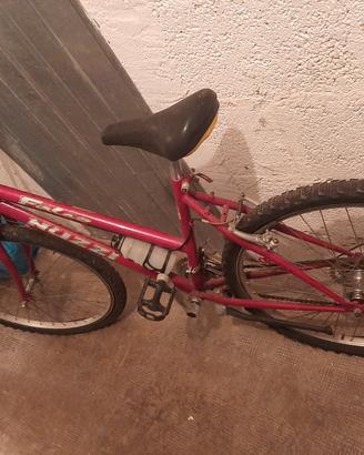 bicicletta nuzzi