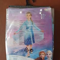 Costume carnevale Elsa Frozen 