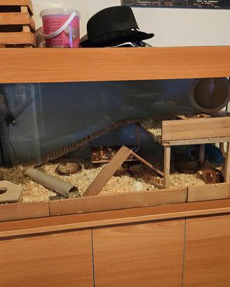 acquario teca o rettilario juwel 