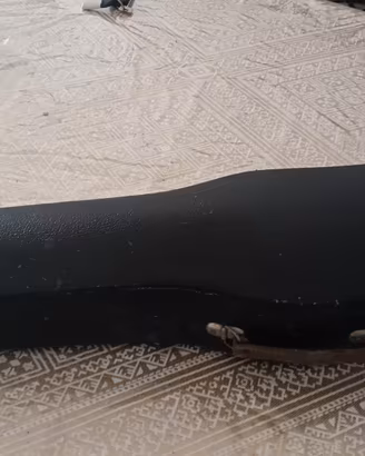 violino Monzino