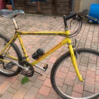 Mountain bike Bottecchia