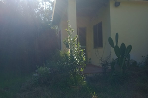 Vendita terreno agricolo privato
