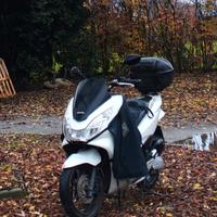 Honda pcx 125 