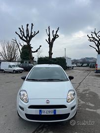 Fiat Punto 1.4 8V 5 porte Natural Power Street