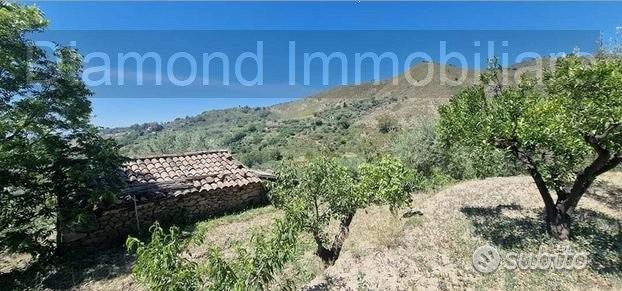Terreno 10.000mq con rustici a Calatabiano - Vista 4