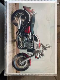Triumph Thunderbird ASI ORO