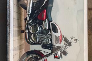 Triumph Thunderbird ASI ORO