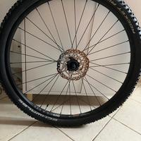 Ruota completa MTB WTB sx 19