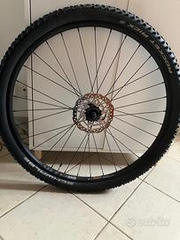 Ruota completa MTB WTB sx 19