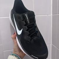 Nike Pegasus 41