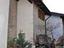 Immagine 8