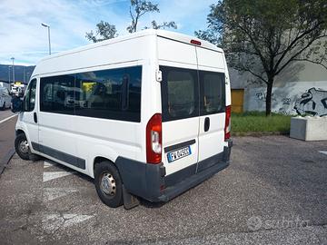Peugeout Boxer, trasporto DISABILI, solo 43900km!