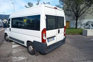 Peugeout Boxer, trasporto DISABILI, solo 43900km!