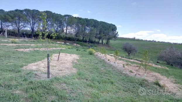 Terreno panoramico nel Chianti