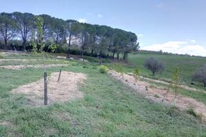 Terreno panoramico nel Chianti
