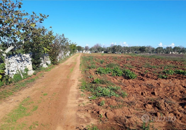 Terreno con possibilità progetto