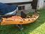 Immagine 6