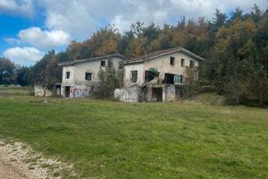 Baia e latina terreno mq1000 vallelonga leggi bene