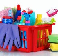 Colf, collaboratrice domestica, governante