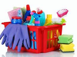 Colf, collaboratrice domestica, governante