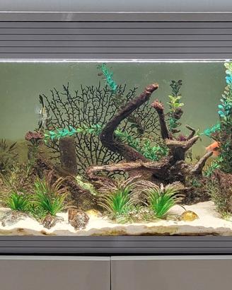 Acquario Askoll Pure XL led con mobile.