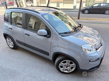 Panda 1.0 hybrid