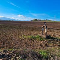 Terreno seminativo irriguo