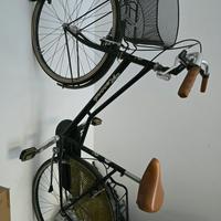 Bicicletta da donna