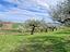 Immagine 9