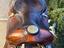 Immagine 6