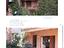Immagine 18