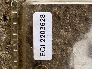 Polaris Sportsman 850 EPS 2010