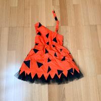 Vestito carnevale ciotolina