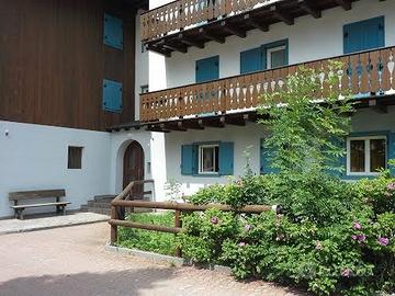 Dal 13 settembre e ottobre Val di Fassa - si cani