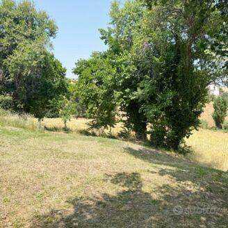 Rudere con ampio terreno, N/348 - Vista 5