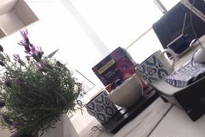 Stylish holiday home, Bernalda (Mt)