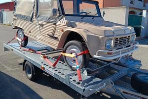 Trasporto veicoli e cose