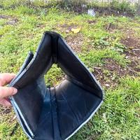 collare elisabettiano